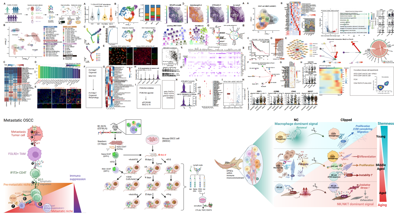 生物信息分析图例